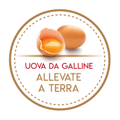 uova da galline allevate a terra